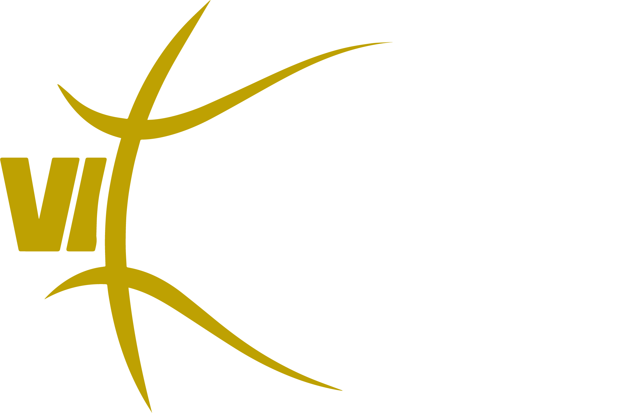 VIMODROM Baskets Jena
